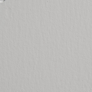 Plike_2s_white.jpg Plike_2s_white.jpg